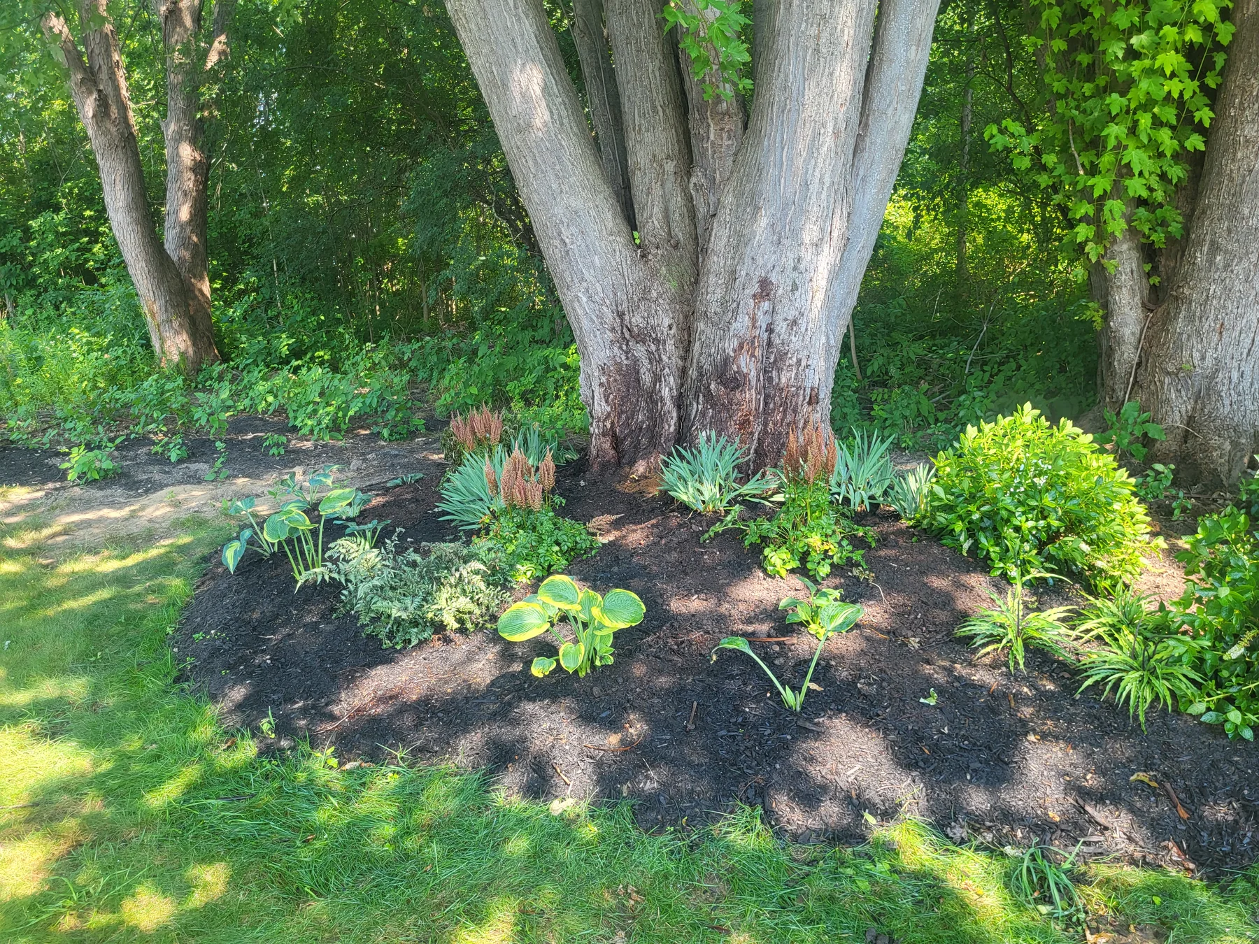 Garden care