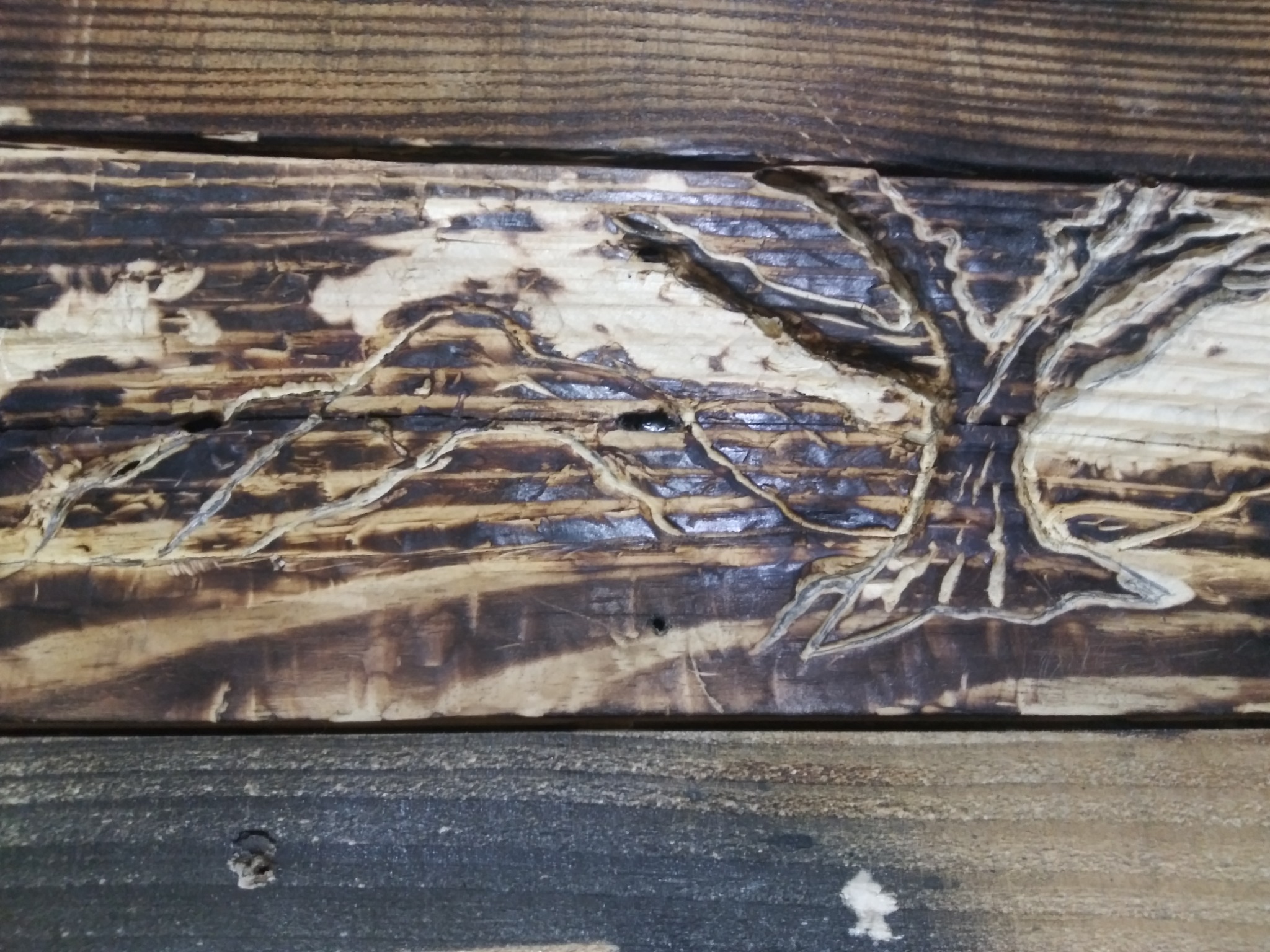 A tree design carved and burned into a wood panel